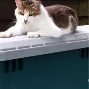 さんその画像