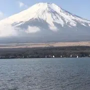 大花火の画像