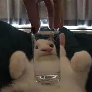 たなか
