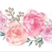 バンビ♡早期終了する場合ありますの画像