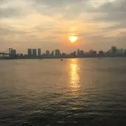 黒柴