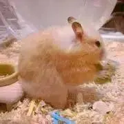 ＊kinaco＊の画像