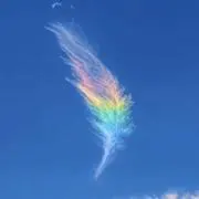 ✨月＊虹✨