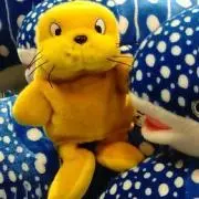 おせちーず