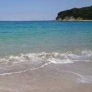 むーの画像
