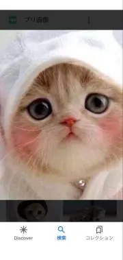 にゃむの画像