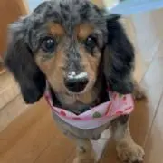 わたなべ。専用ページ遅れますの画像