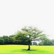 えいき