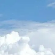 トイ