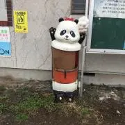 こぶたちゃんの画像