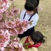 まぃぽこ♩の画像