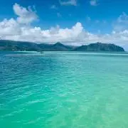 zonopiの画像