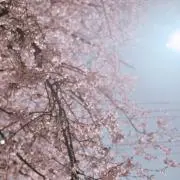 ゲンゾウ