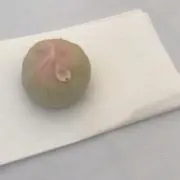 鍵音詩歌