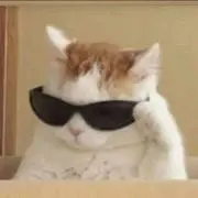ぴくみその画像