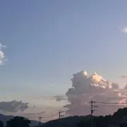 ちゃんの画像