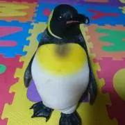 バスの画像