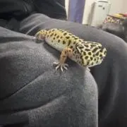 ToYuの画像
