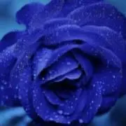 ✩.*˚ちーたん✩.*˚の画像