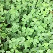 yukkyの画像