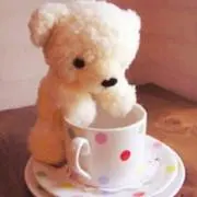 りゅうたく