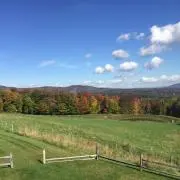 comochanの画像