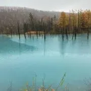翔の画像