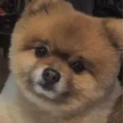 Kaz-Emersonの画像