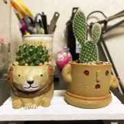 じゅの画像