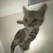あ！の画像