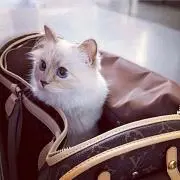mai..♡の画像