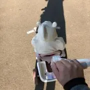 hooの画像