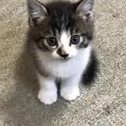 優の画像