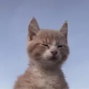 ( ◠‿◠ )の画像