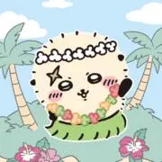 Rの画像