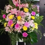 あっこ