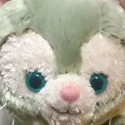 pinana 即購入歓迎の画像