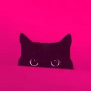 JJの画像