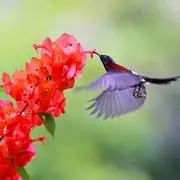 ♡ Beautiful Life ♡の画像