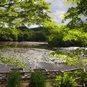n44124【8/6〜8/12発送不可】の画像