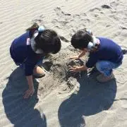 音の画像