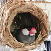 ゆんの画像