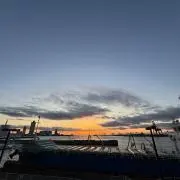 Midoriの画像
