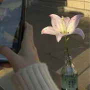 りつ 【まとめ売り可】の画像