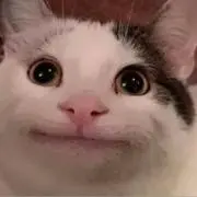 ぽ
