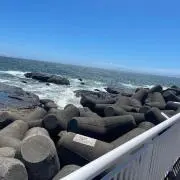 Piikkaの画像