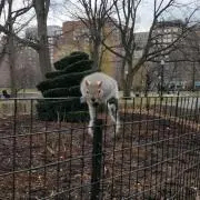 リョウの画像