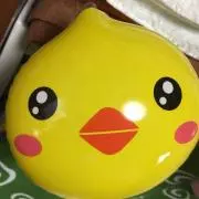かのこし