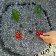 m@o