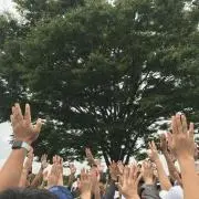 はやの画像